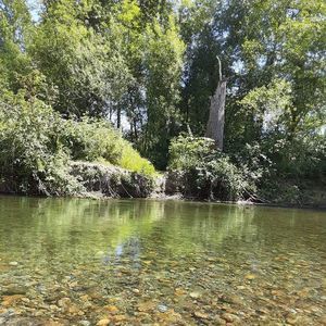 Meet your Posher, Elda